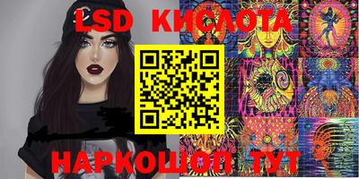 PSILOCYBIN Будённовск
