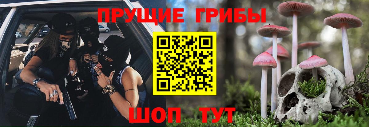 Шуя  Псилоцибиновые грибы MAGIC MUSHROOMS  Галлюциногенные грибы Psilocybe  Вход с VPN 